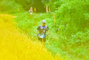 BIB: 
                            <button type="button" onclick="openModal(13455438)" class="btn btn-primary btn-sm float-right btn-popup" data-toggle="modal" data-target=".modal-high-quality">
                        <i class="fas fa-shopping-cart"></i> Add to Cart
                    </button>
                                            <button type="button" onclick="isThisMe(13455438, true)" class="btn btn-success btn-sm float-right btn-popup btn-isme hidden" data-toggle="tooltip" data-placement="bottom" title="นี่คือรูปของคุณใช่ไหม คลิกที่นี่เพื่อเอาเข้าอัลบั้ม">
                        <i class="fas fa-plus"></i> Add to album
                    </button>
                    <button type="button" onclick="isThisMe(13455438, false)" class="btn btn-warning btn-sm float-right btn-popup btn-isnotme hidden">
                        <i class="fas fa-ban"></i> Remove from album
                    </button>